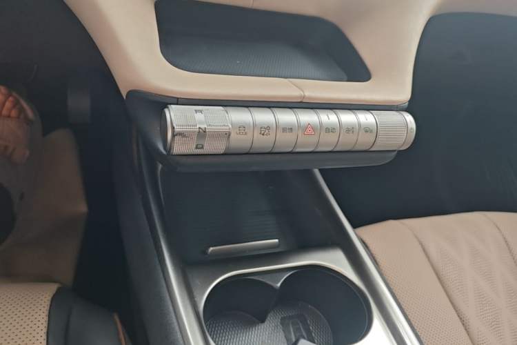 Used BYD Dolphin 2023 420 km Fashion Edition Gear Lever