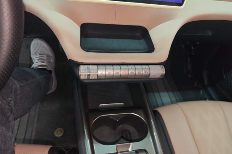 Used BYD Dolphin 2023 420 km Fashion Edition Gear Lever