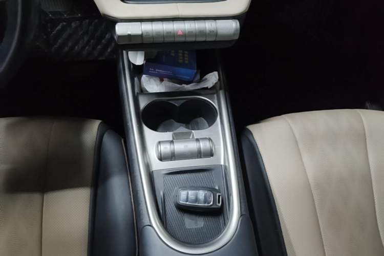 Used BYD Dolphin 2023 420 km Fashion Edition Gear Lever