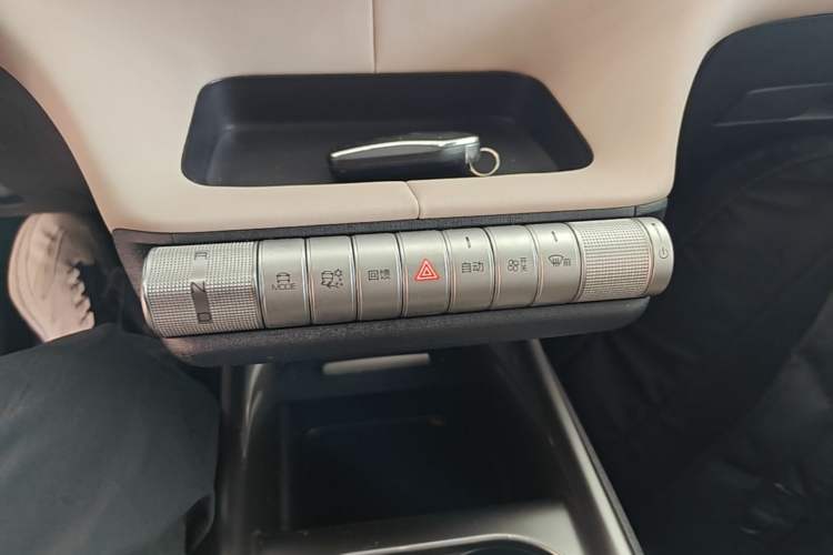 Used BYD Dolphin 2023 420 km Fashion Edition Gear Lever