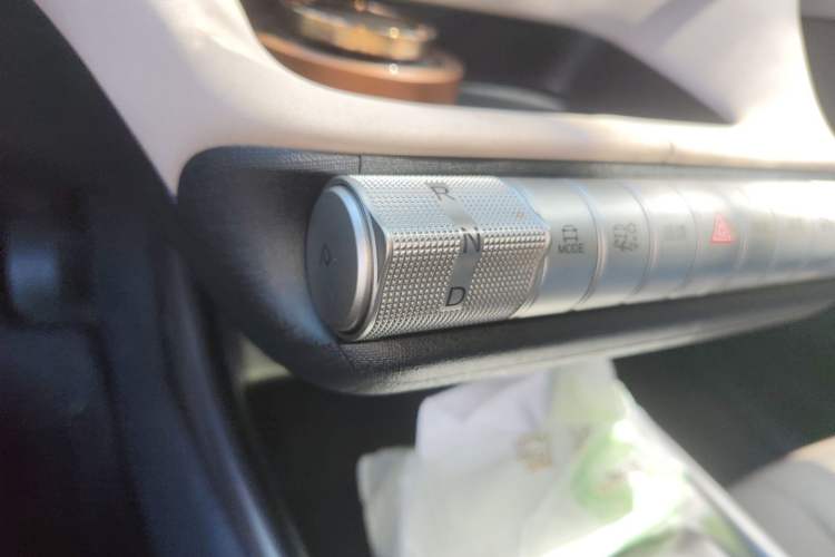 Used BYD Dolphin 2023 420 km Fashion Edition Gear Lever