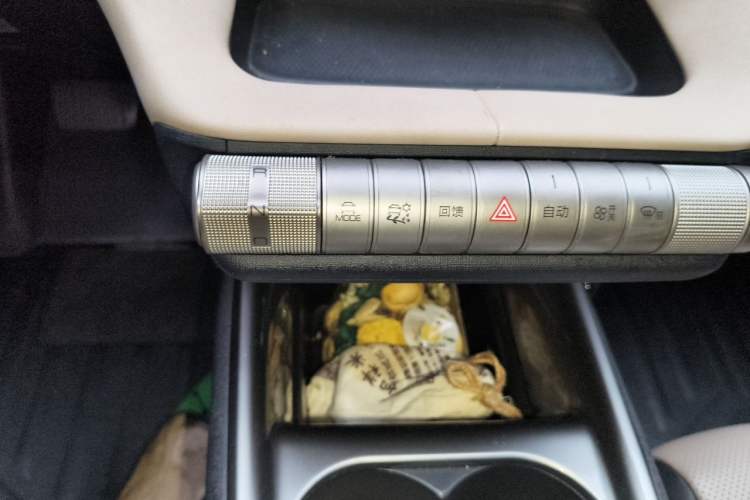 Used BYD Dolphin 2023 420 km Fashion Edition Gear Lever