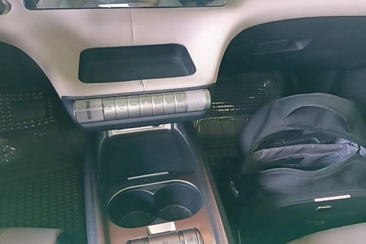 Used BYD Dolphin 2023 420 km Fashion Edition Gear Lever