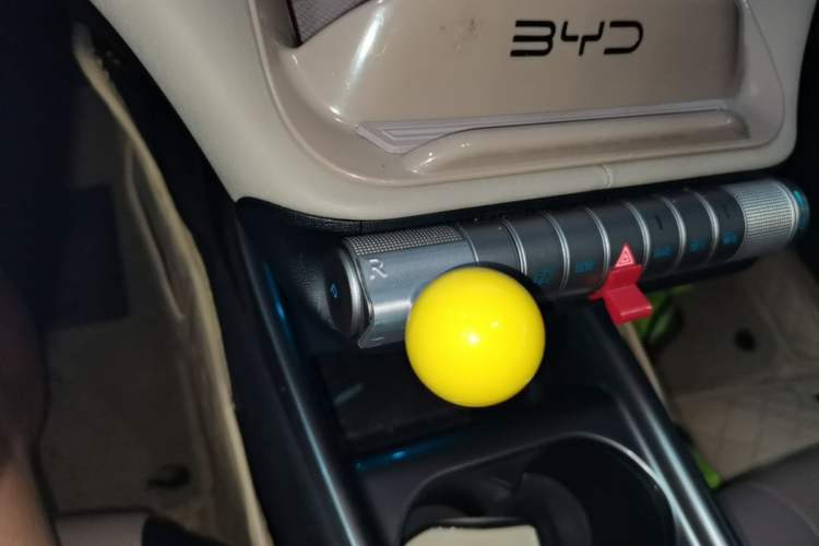 Used BYD Dolphin 2023 420 km Free Version Gear Lever