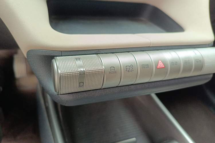 Used BYD Dolphin 2023 420 km Free Version Gear Lever