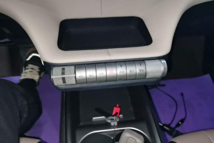 Used BYD Dolphin 2023 420 km Free Version Gear Lever