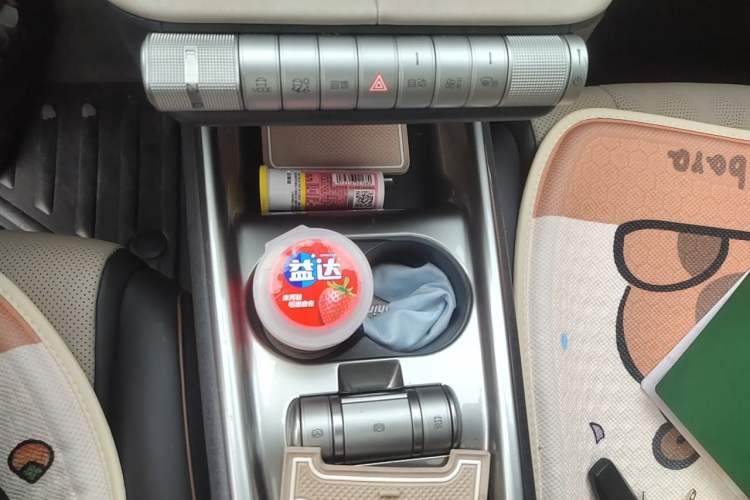 Used BYD Dolphin 2023 420 km Fashion Edition Gear Lever