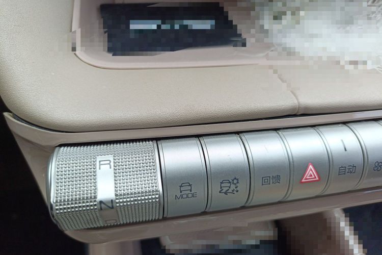 Used BYD Dolphin 2023 420 km Fashion Edition Gear Lever