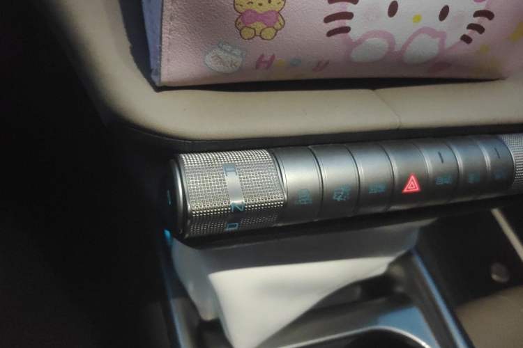 Used BYD Dolphin 2023 420 km Free Version Gear Lever