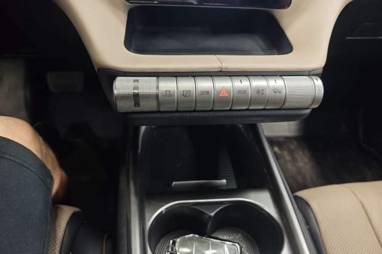 Used BYD Dolphin 2023 420 km Fashion Edition Gear Lever