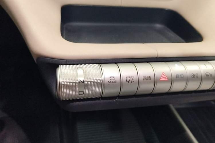 Used BYD Dolphin 2023 420 km Fashion Edition Gear Lever