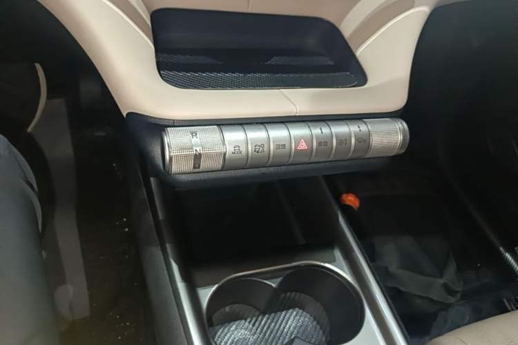 Used BYD Dolphin 2023 420 km Fashion Edition Gear Lever