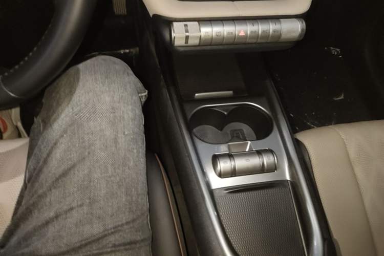 Used BYD Dolphin 2023 420 km Free Version Gear Lever