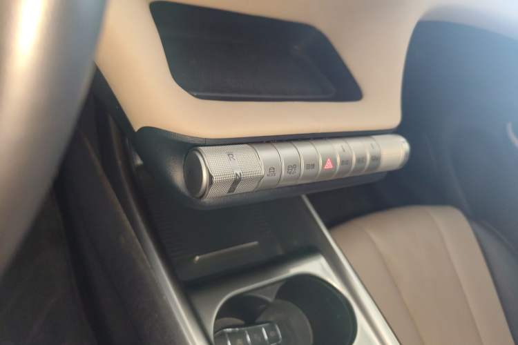 Used BYD Dolphin 2023 420 km Free Version Gear Lever