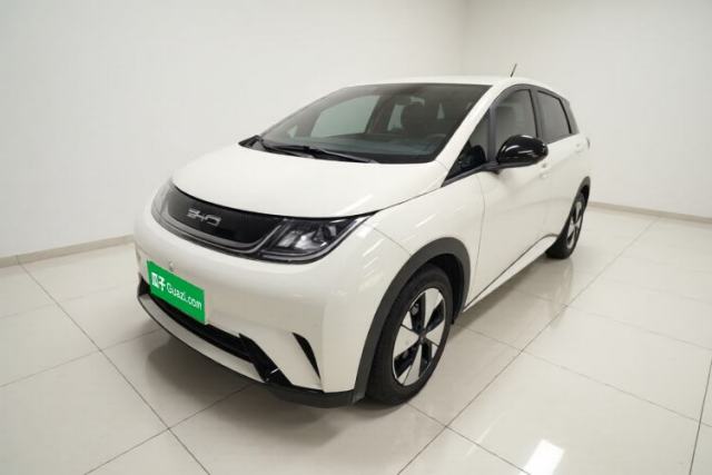Used BYD Dolphin 2023 420 km Free Version