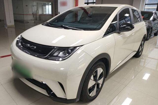 Used BYD Dolphin 2023 420 km Free Version