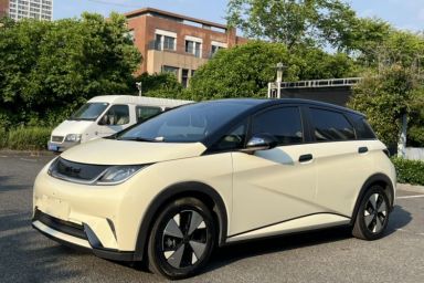 Used BYD Dolphin 2023 420 km Fashion Edition