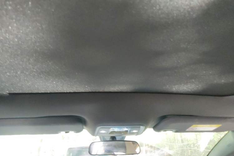Used BYD Dolphin 2023 420 km Fashion Edition Headliner