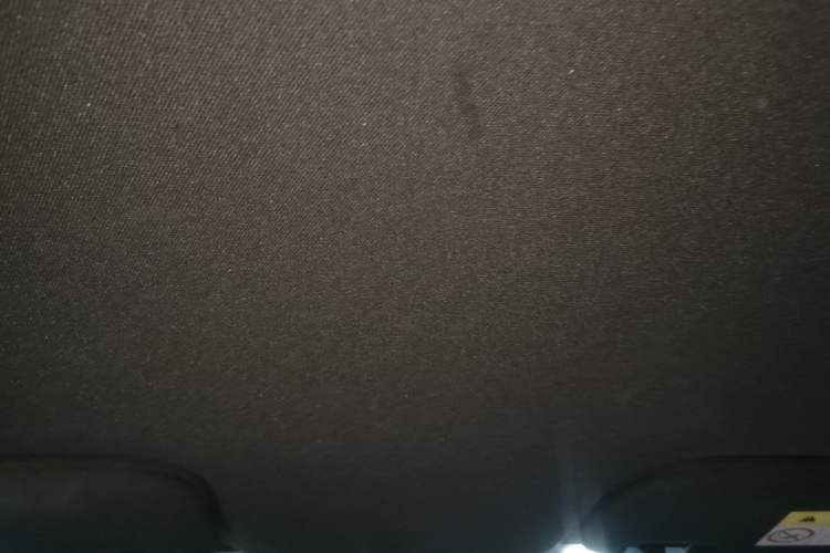 Used BYD Dolphin 2023 420 km Free Version Headliner