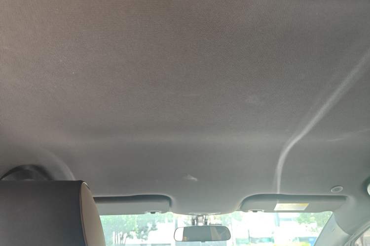 Used BYD Dolphin 2023 420 km Free Version Headliner