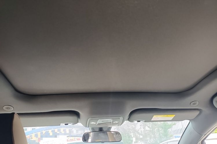 Used BYD Dolphin 2023 420 km Fashion Edition Headliner
