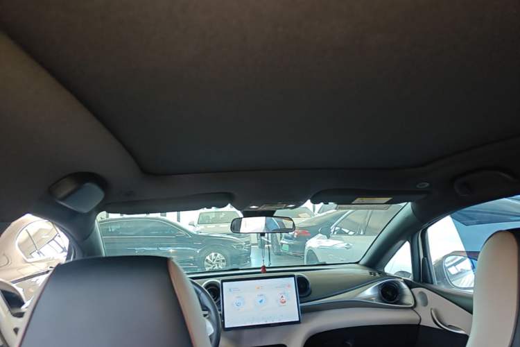 Used BYD Dolphin 2023 420 km Fashion Edition Headliner