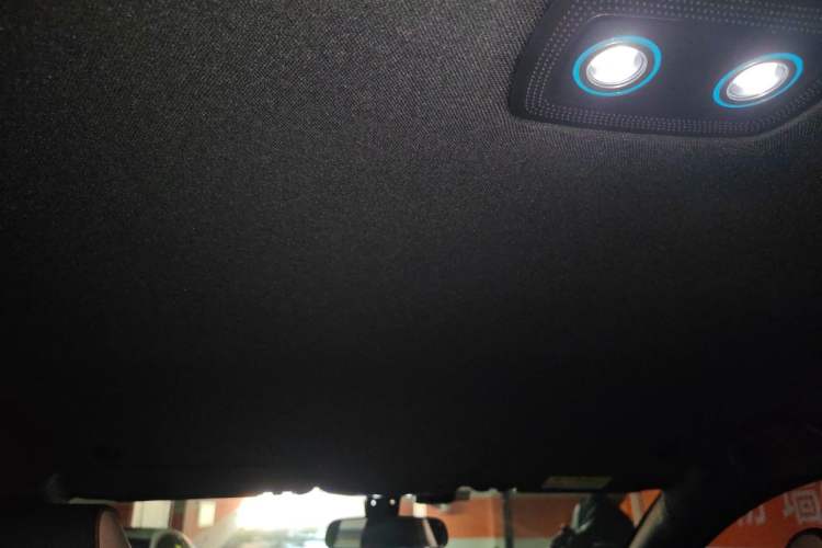 Used BYD Dolphin 2023 420 km Free Version Headliner