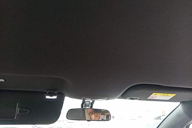 Used BYD Dolphin 2023 420 km Free Version Headliner