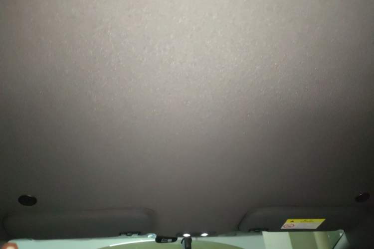 Used BYD Dolphin 2023 420 km Free Version Headliner