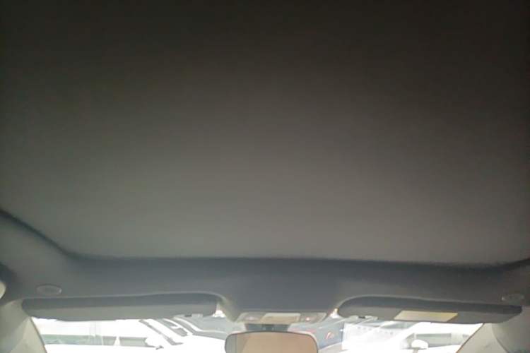 Used BYD Dolphin 2023 420 km Fashion Edition Headliner