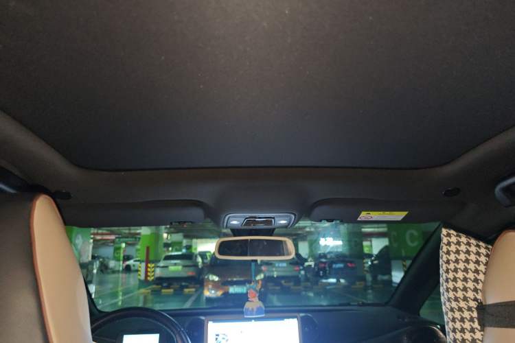 Used BYD Dolphin 2023 420 km Fashion Edition Headliner