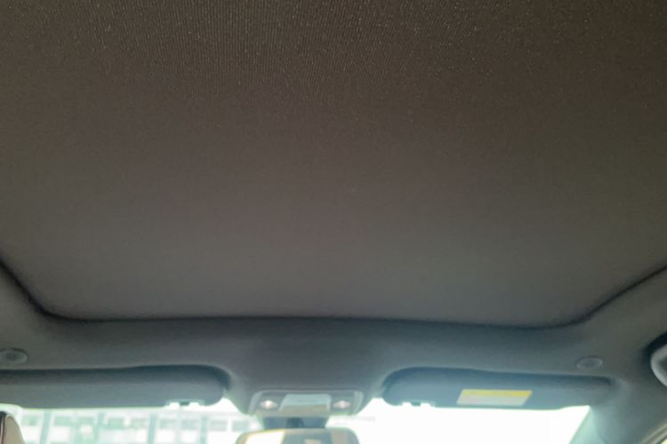 Used BYD Dolphin 2023 420 km Fashion Edition Headliner