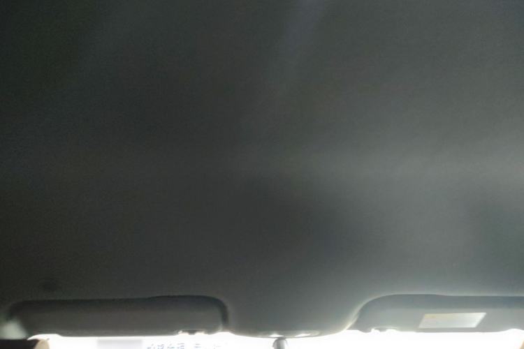 Used BYD Dolphin 2023 420 km Free Version Headliner