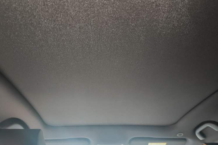 Used BYD Dolphin 2023 420 km Fashion Edition Headliner