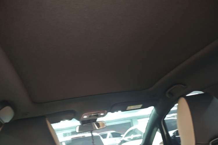 Used BYD Dolphin 2023 420 km Fashion Edition Headliner
