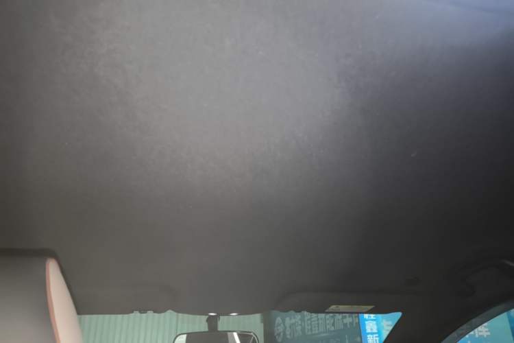 Used BYD Dolphin 2023 420 km Free Version Headliner
