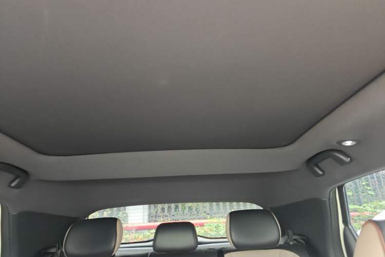Used BYD Dolphin 2023 420 km Fashion Edition Headliner