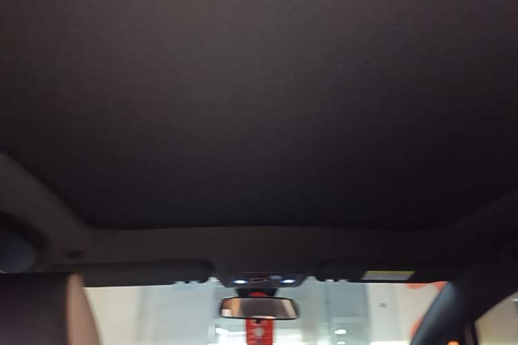 Used BYD Dolphin 2023 420 km Fashion Edition Headliner