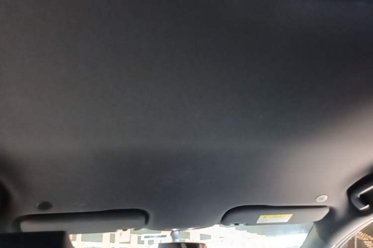Used BYD Dolphin 2023 420 km Free Version Headliner