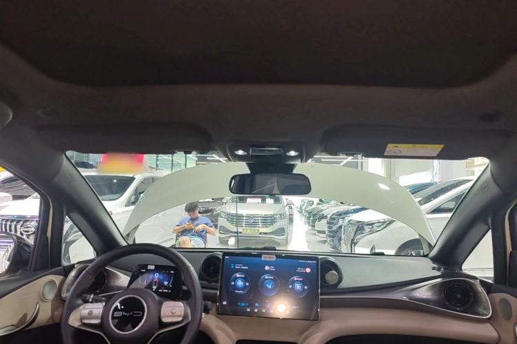 Used BYD Dolphin 2023 420 km Fashion Edition Headliner