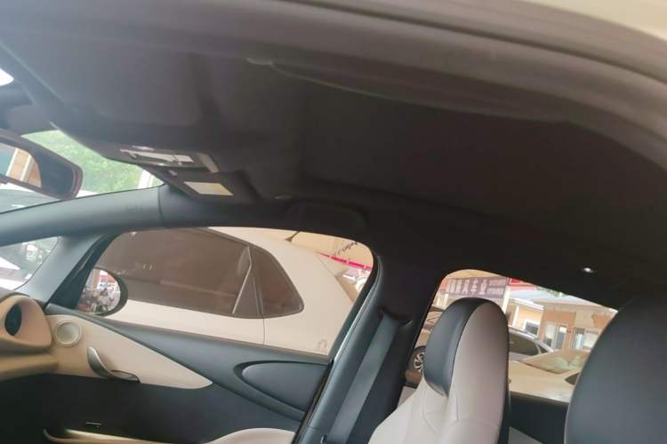 Used BYD Dolphin 2023 420 km Fashion Edition Headliner