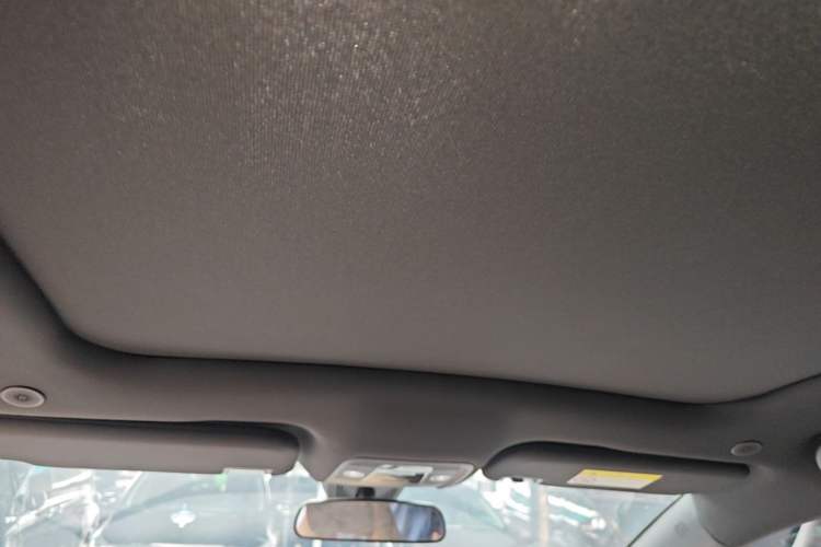 Used BYD Dolphin 2023 420 km Fashion Edition Headliner