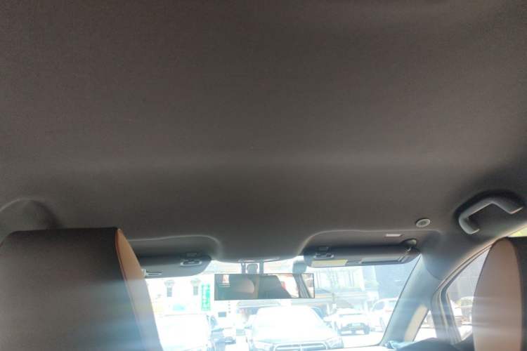 Used BYD Dolphin 2023 420 km Free Version Headliner