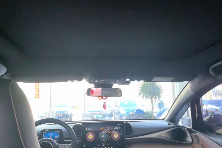 Used BYD Dolphin 2023 420 km Fashion Edition Headliner