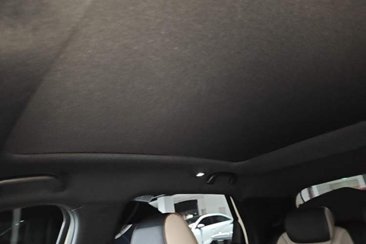 Used BYD Dolphin 2023 420 km Fashion Edition Headliner