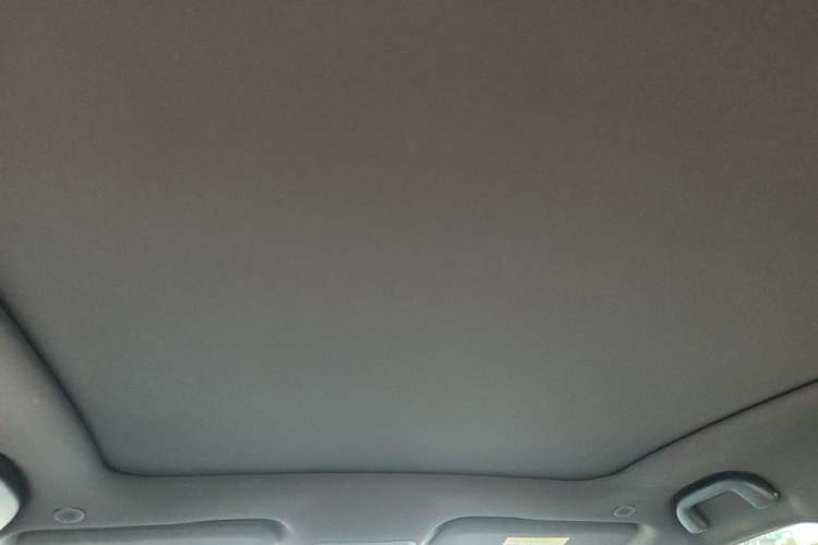 Used BYD Dolphin 2023 420 km Fashion Edition Headliner