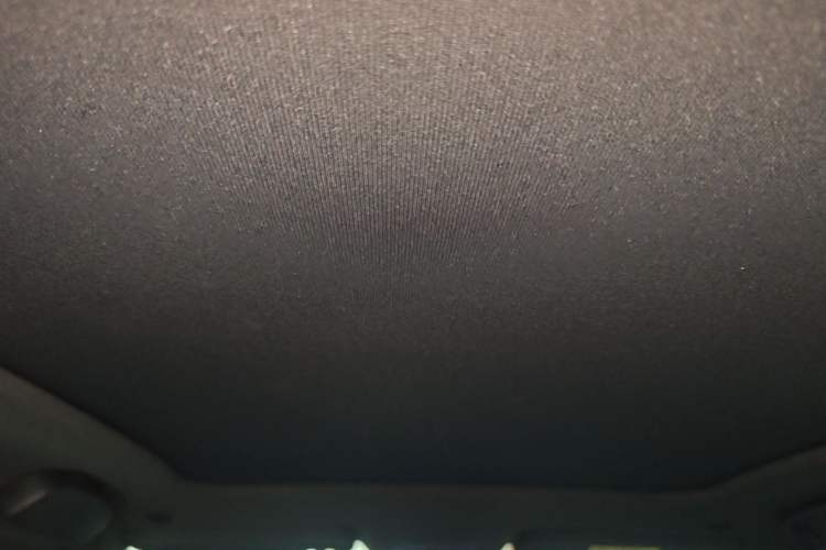 Used BYD Dolphin 2023 420 km Fashion Edition Headliner