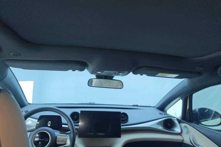 Used BYD Dolphin 2023 420 km Fashion Edition Headliner