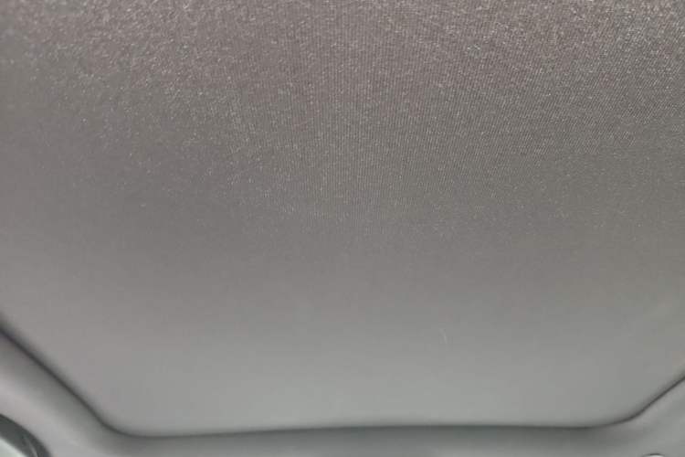 Used BYD Dolphin 2023 420 km Fashion Edition Headliner
