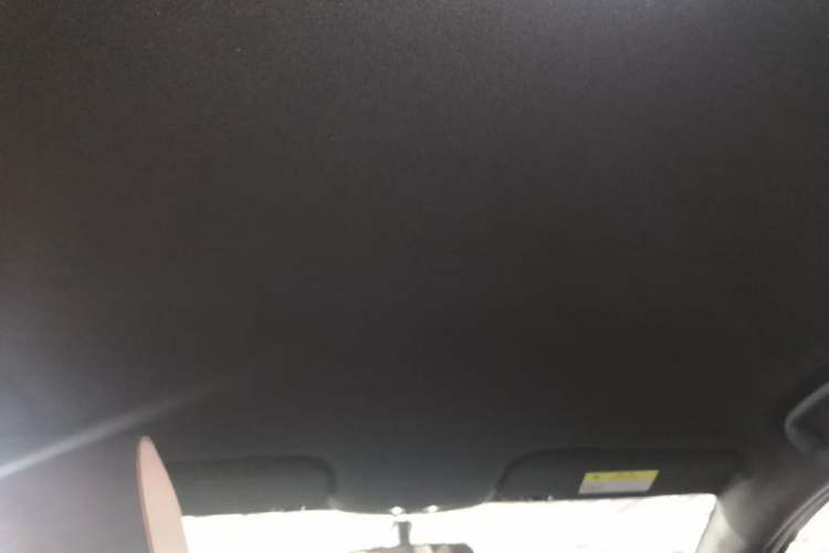 Used BYD Dolphin 2023 420 km Free Version Headliner